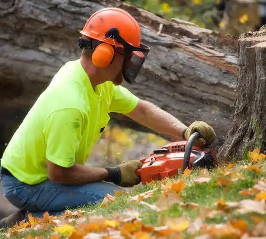 tree services Pulaski